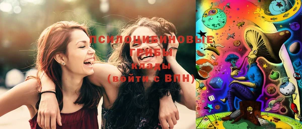 соль ск Алексеевка