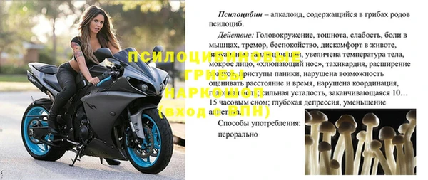 герыч Алексин