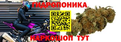 COCAINE Камышлов