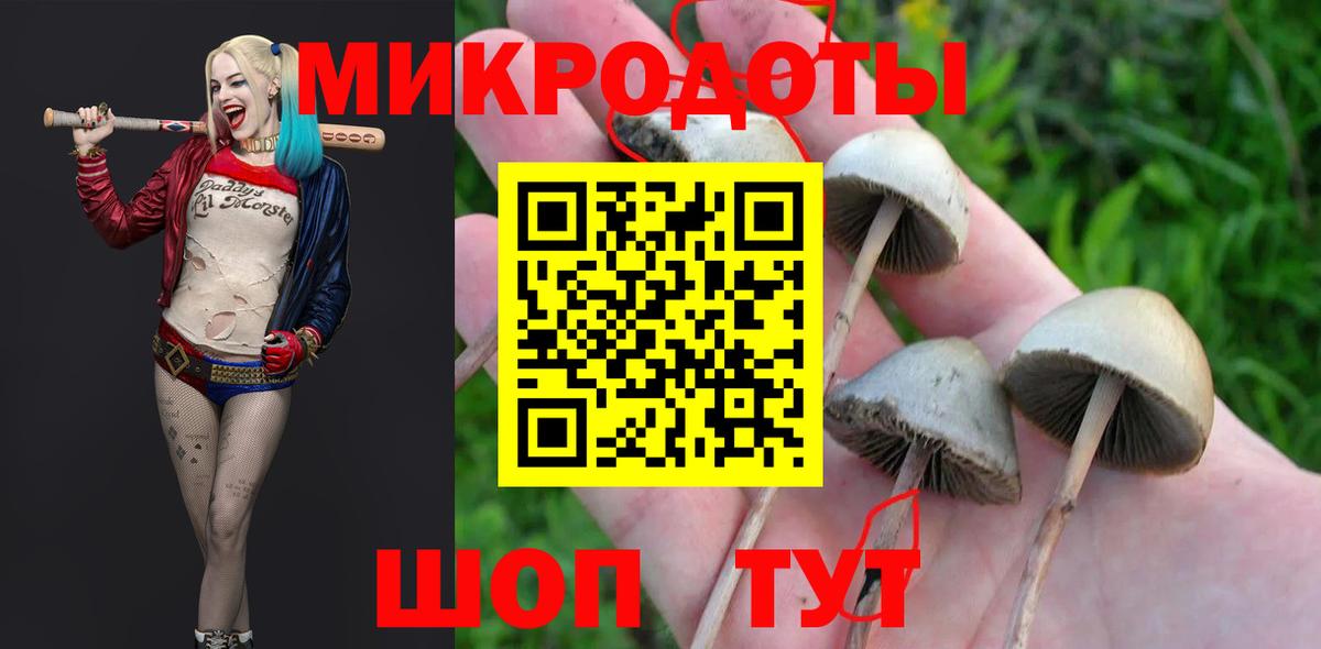 Псилоцибиновые грибы Psilocybe Павлово