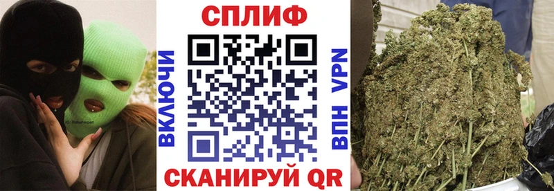 МАРИХУАНА ГИДРОПОН  Павлово 